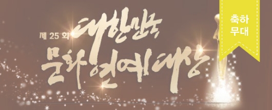2017 제 25회 대한민국 문화연예대상 축하무대 특별출연 현장스케치